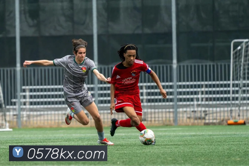 kaiyun发展历程